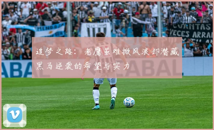 追梦之路：老鹰虽难掀风浪却潜藏黑马逆袭的希望与实力